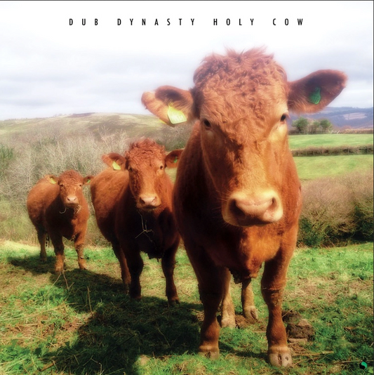 Dub Dynasty 'Holy Cow' LP