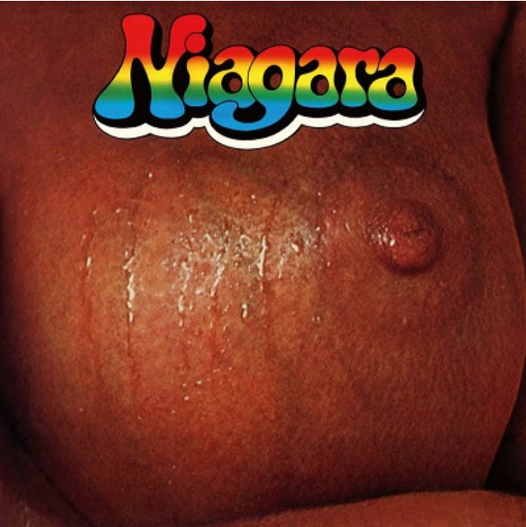 Niagara 'S/T' LP