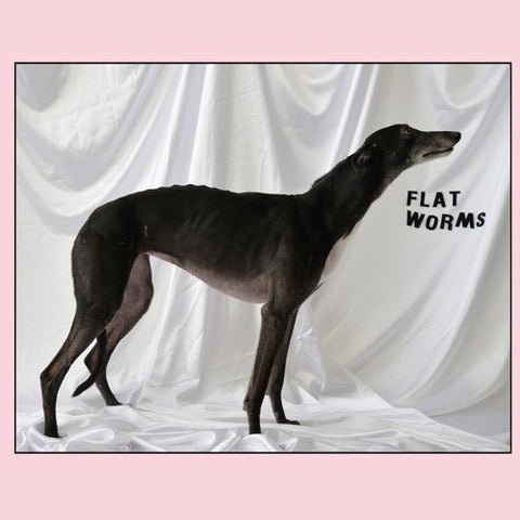 Flat Worms 'Flat Worms' LP